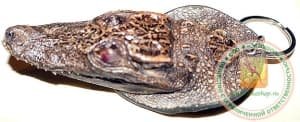 Настоящая голова маленького крокодила - как подвеска в машину или брелок для ключей. Пр-во Вьетнам.